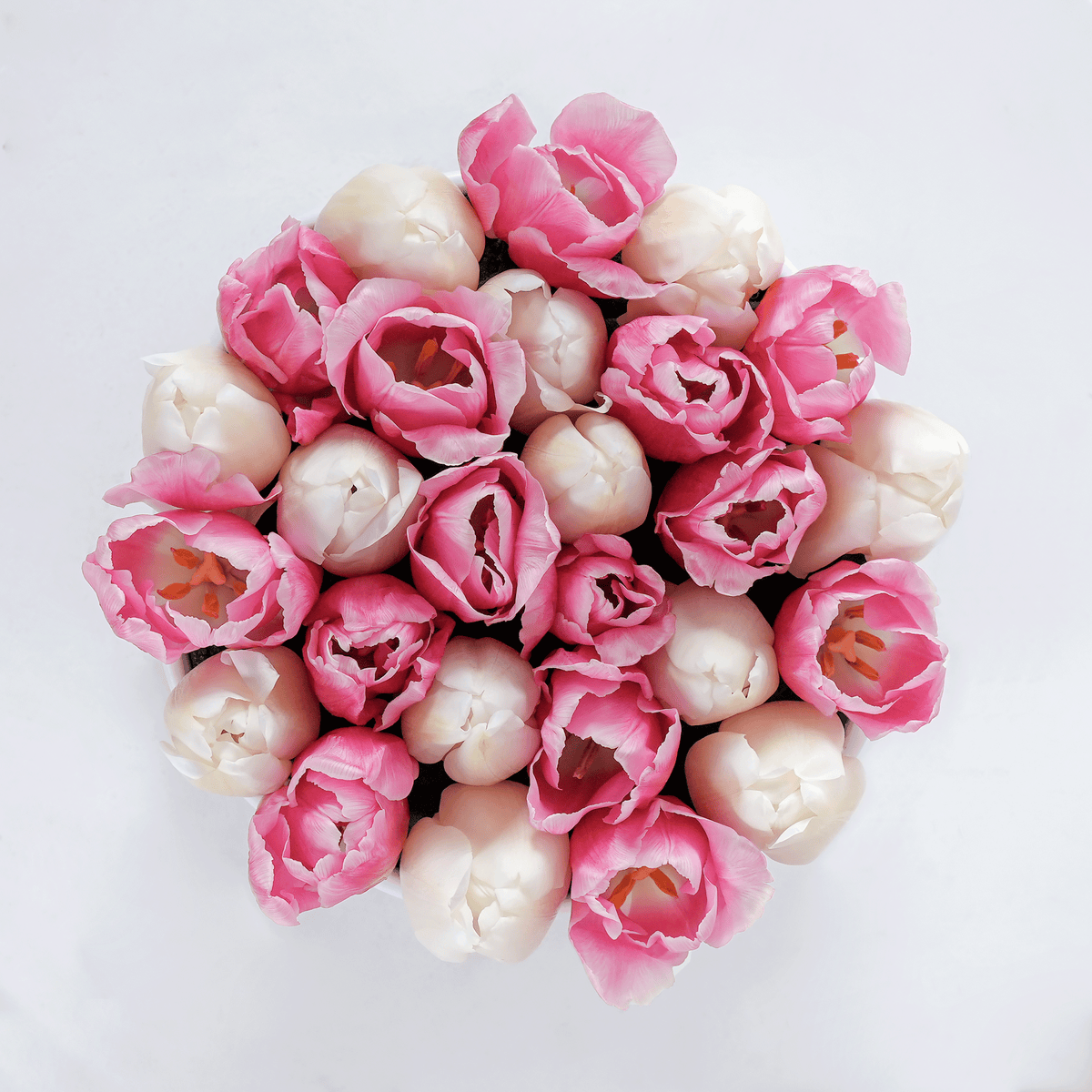 Petite Pink &amp; White Tulip Hatbox