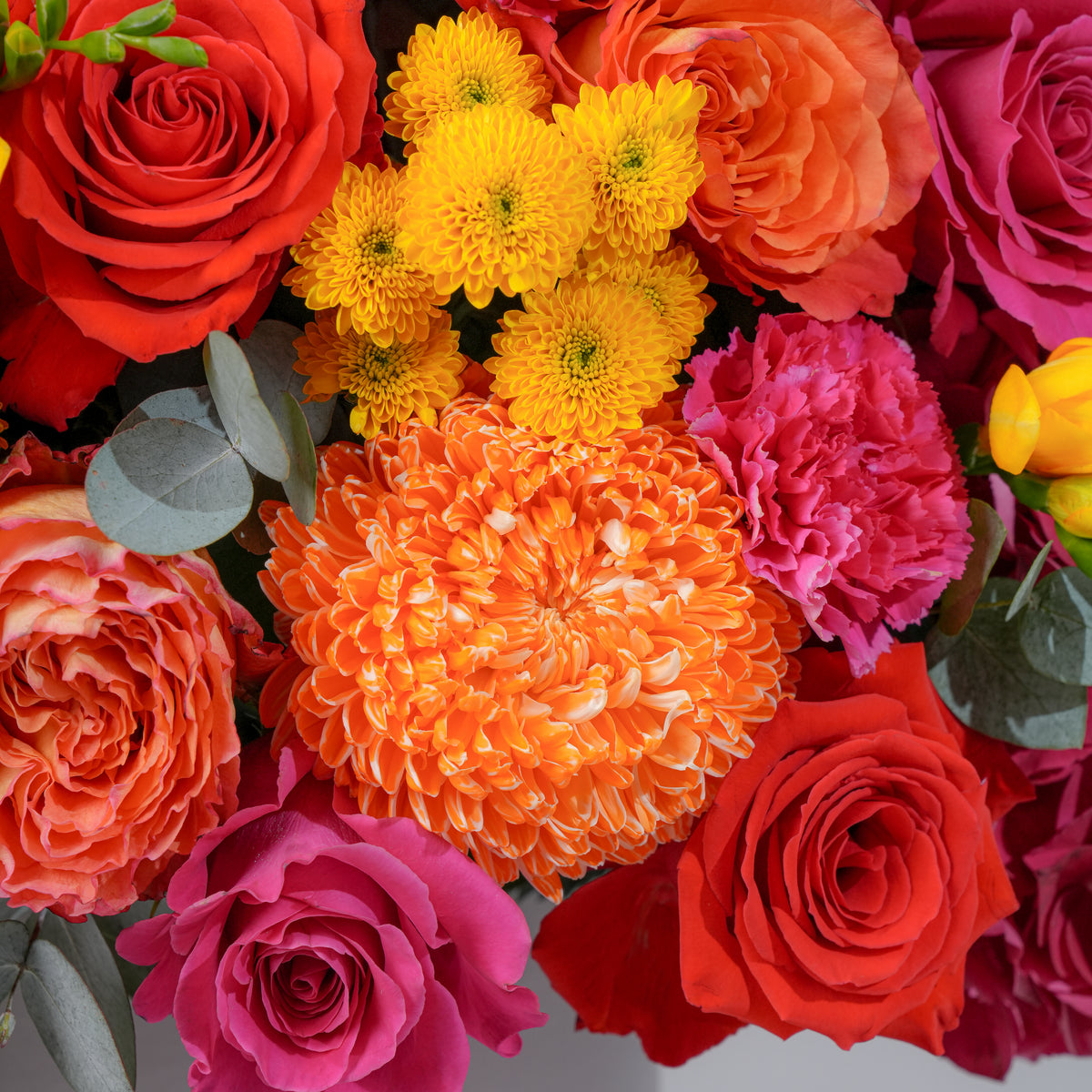 Noura Hatbox