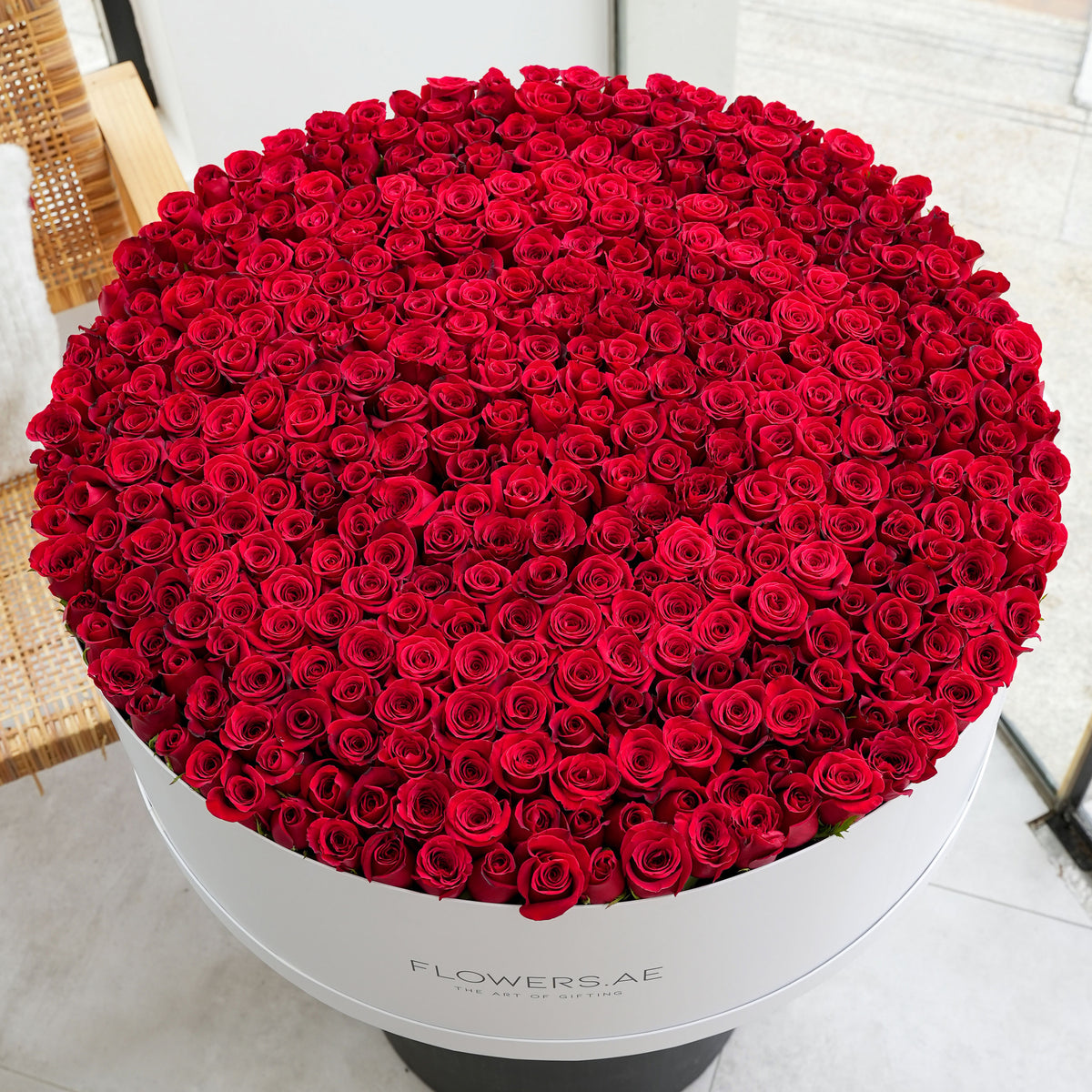 500 Red Roses XXXL