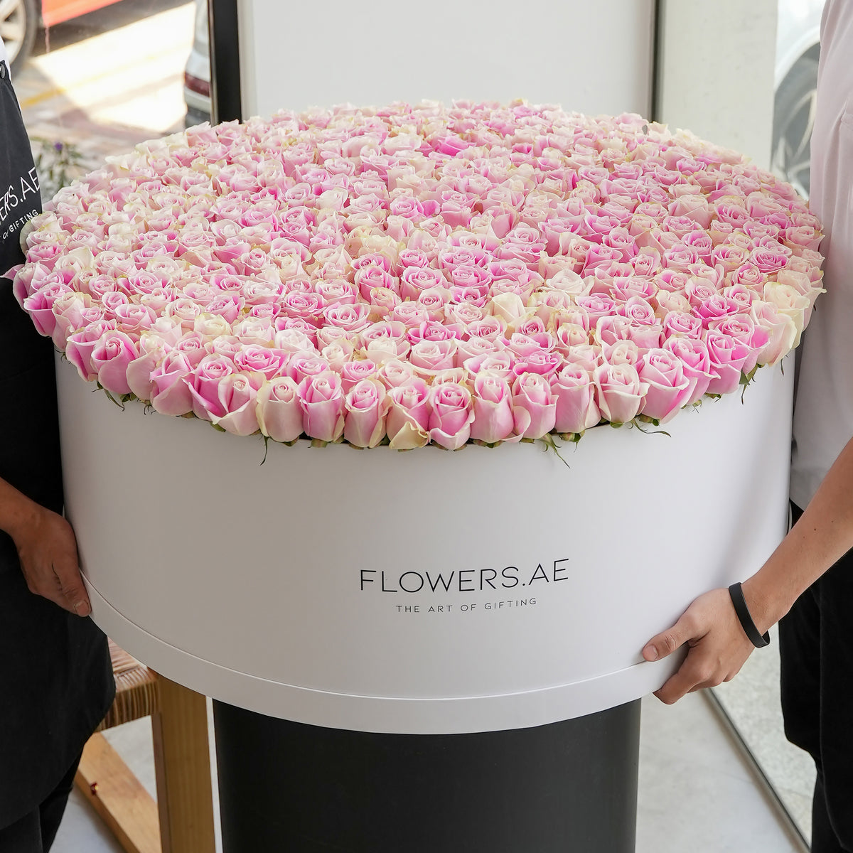 500 Pink Roses XXXL
