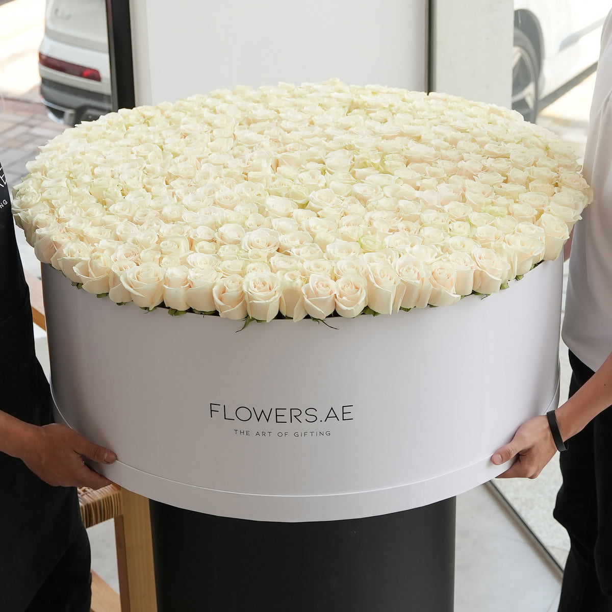 500 White Roses XXXL