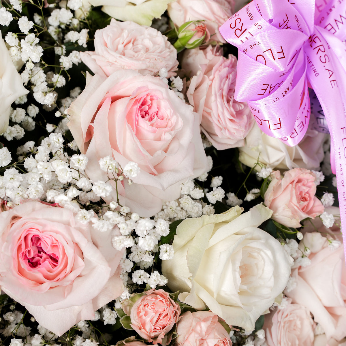 Baby Adelle Hatbox (Gift Set)