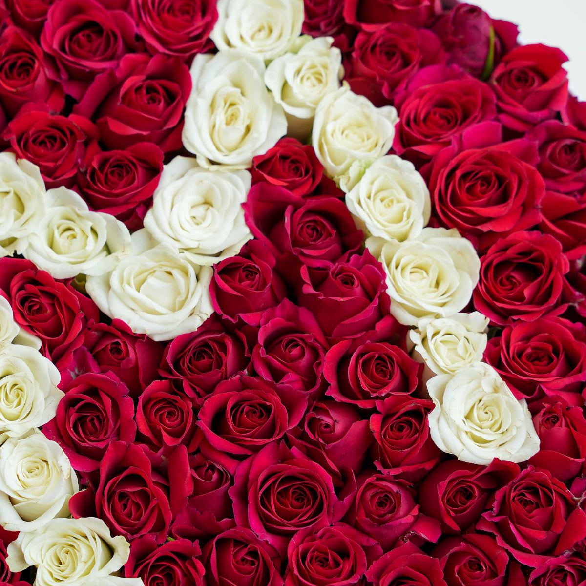 Red Letter Hatbox