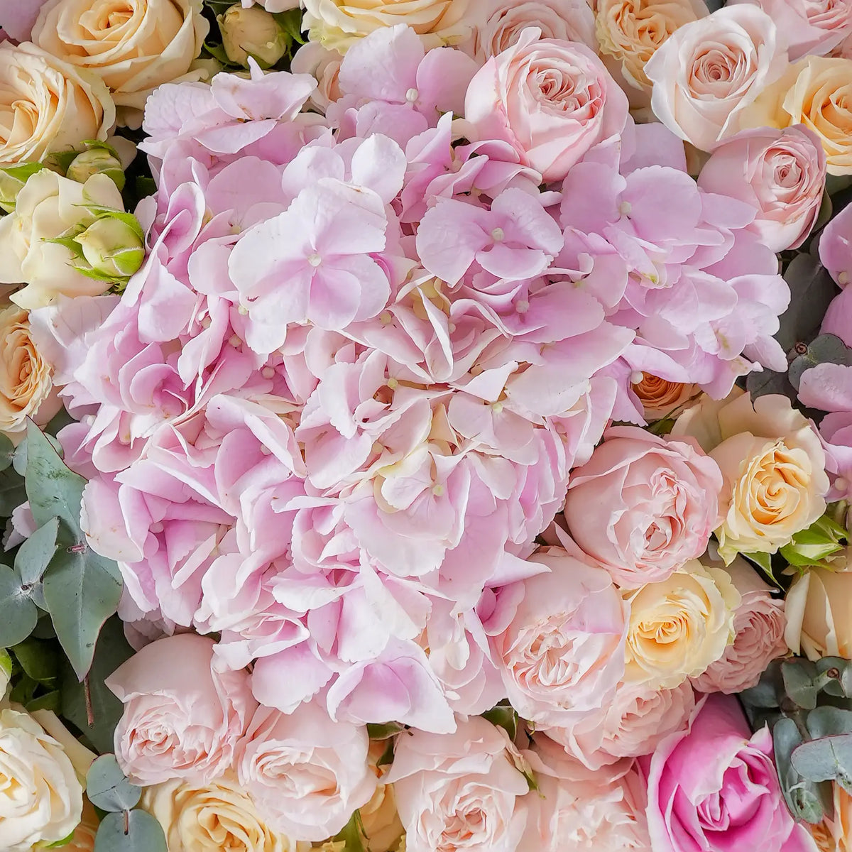 Congratulations Florence Pink