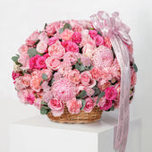 Alissa Basket