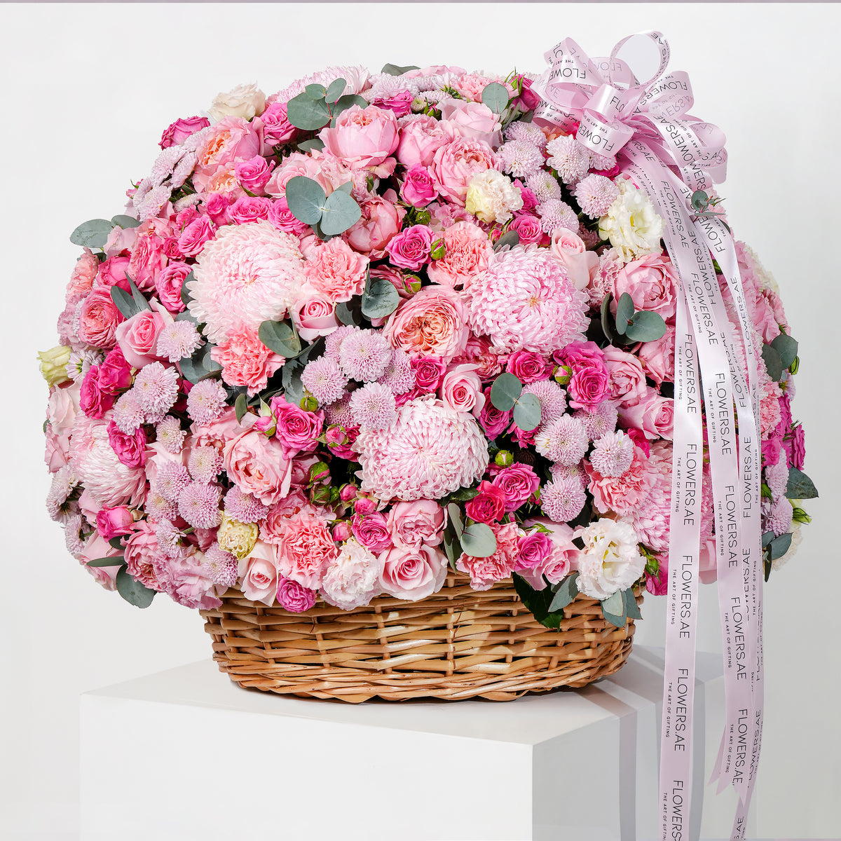 Alissa Basket