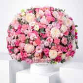 Alissa Hatbox