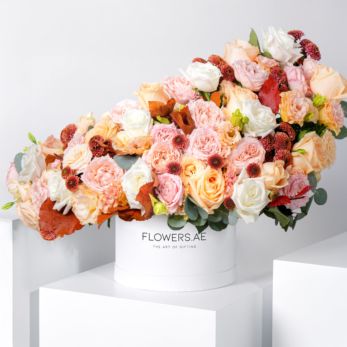 Dune Hatbox