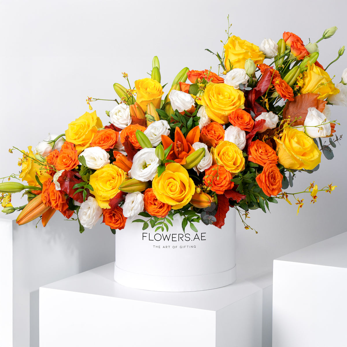 Sunset Hatbox