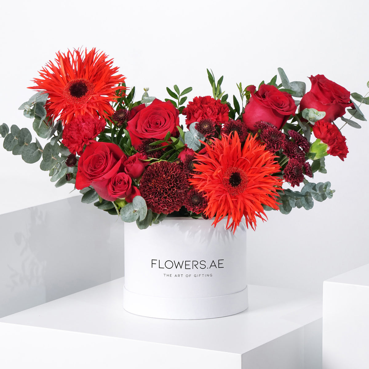 Petite Scarlet Hatbox