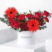 Petite Scarlet Hatbox