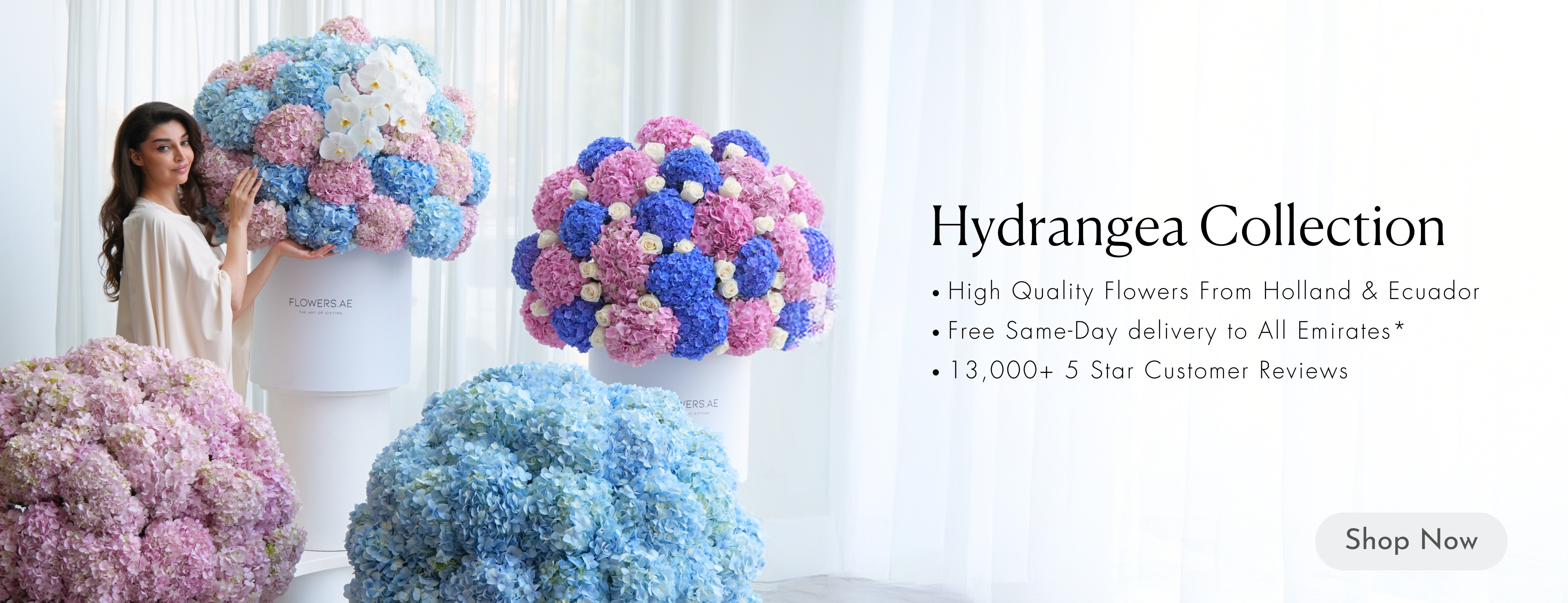 Desktop Banner Image