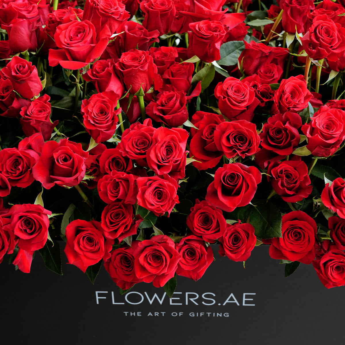 Luxury 999 Red Roses