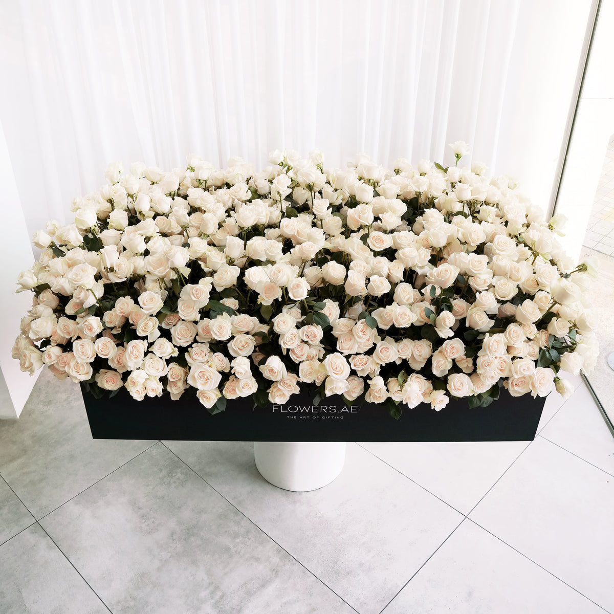 Luxury 999 White Roses
