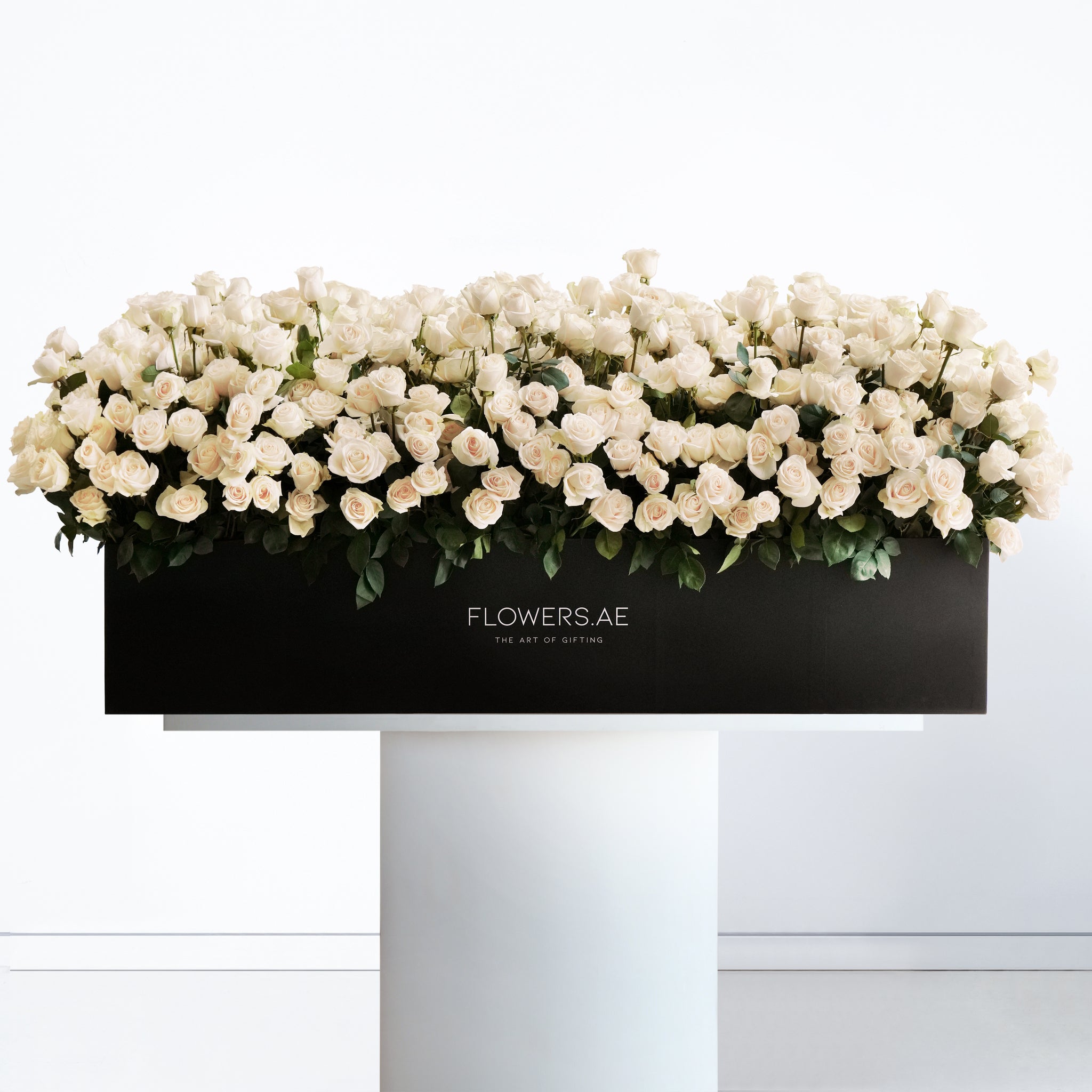 Luxury 999 White Roses | Free Same-Day Delivery to all Emirates ...