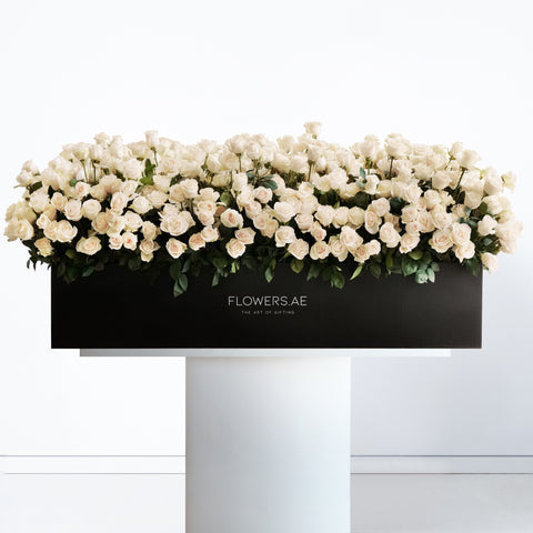Luxury 999 White Roses