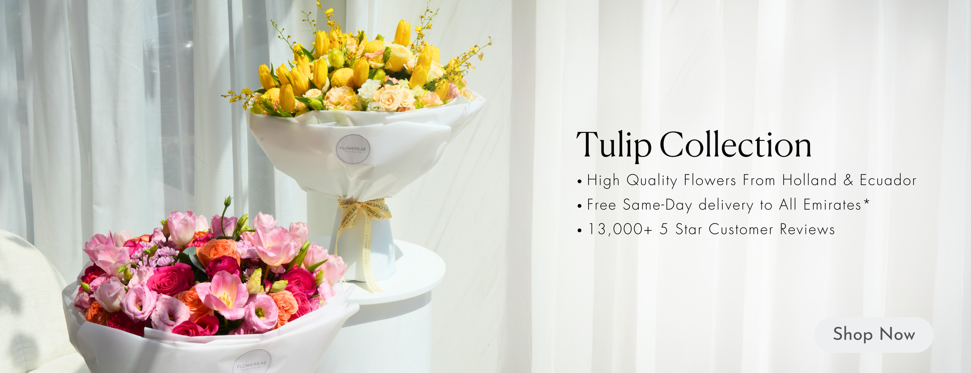 Desktop Banner Image