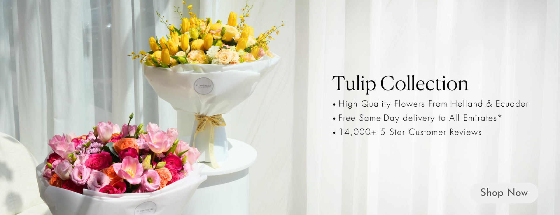 Desktop Banner Image