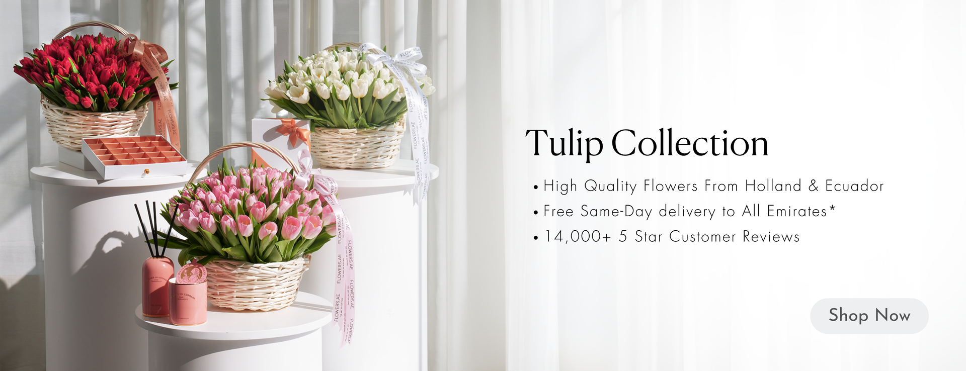 Desktop Banner Image