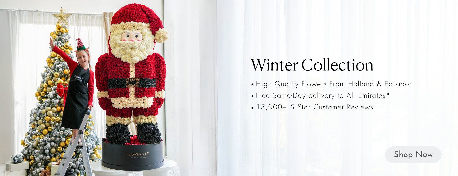 Desktop Banner Image