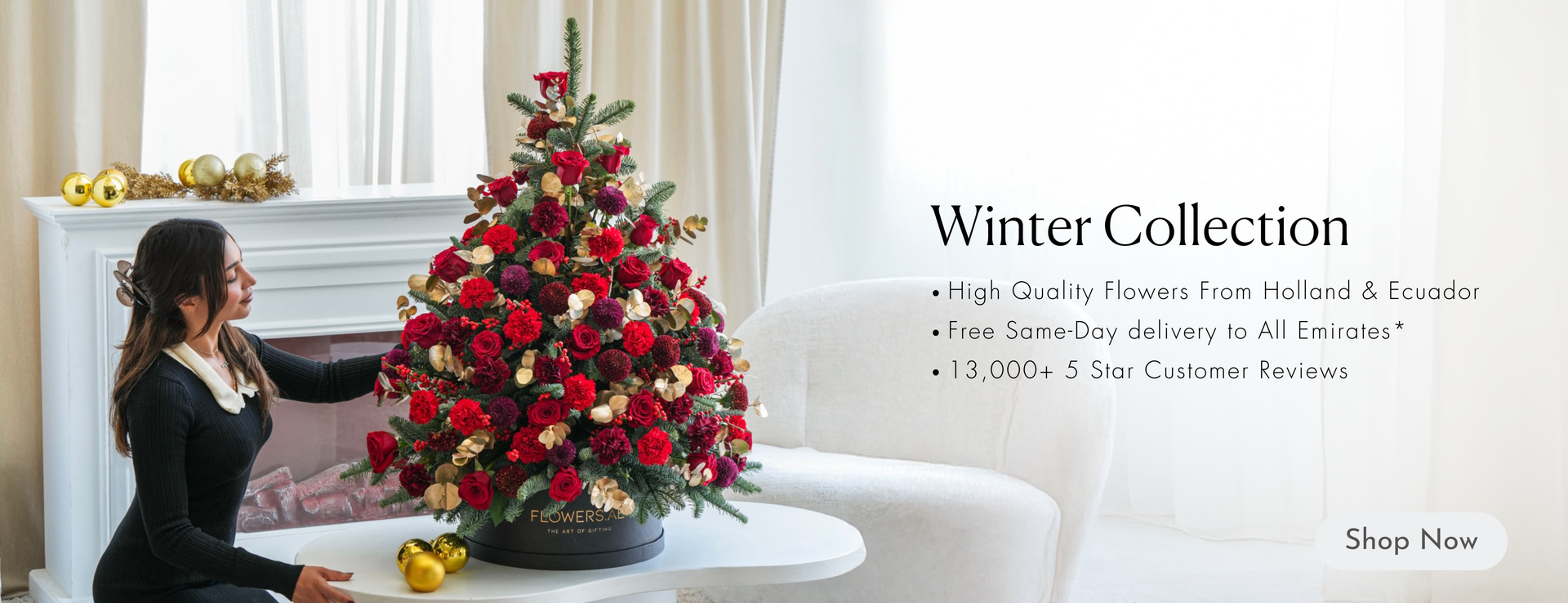 Desktop Banner Image