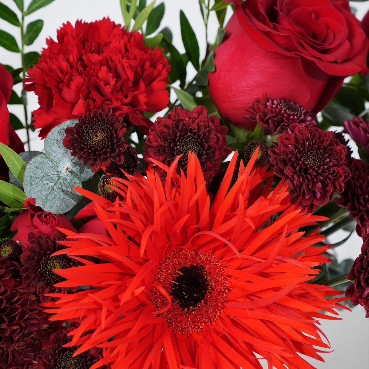 Birthday Petite Scarlet Hatbox (Cake Gift Set)