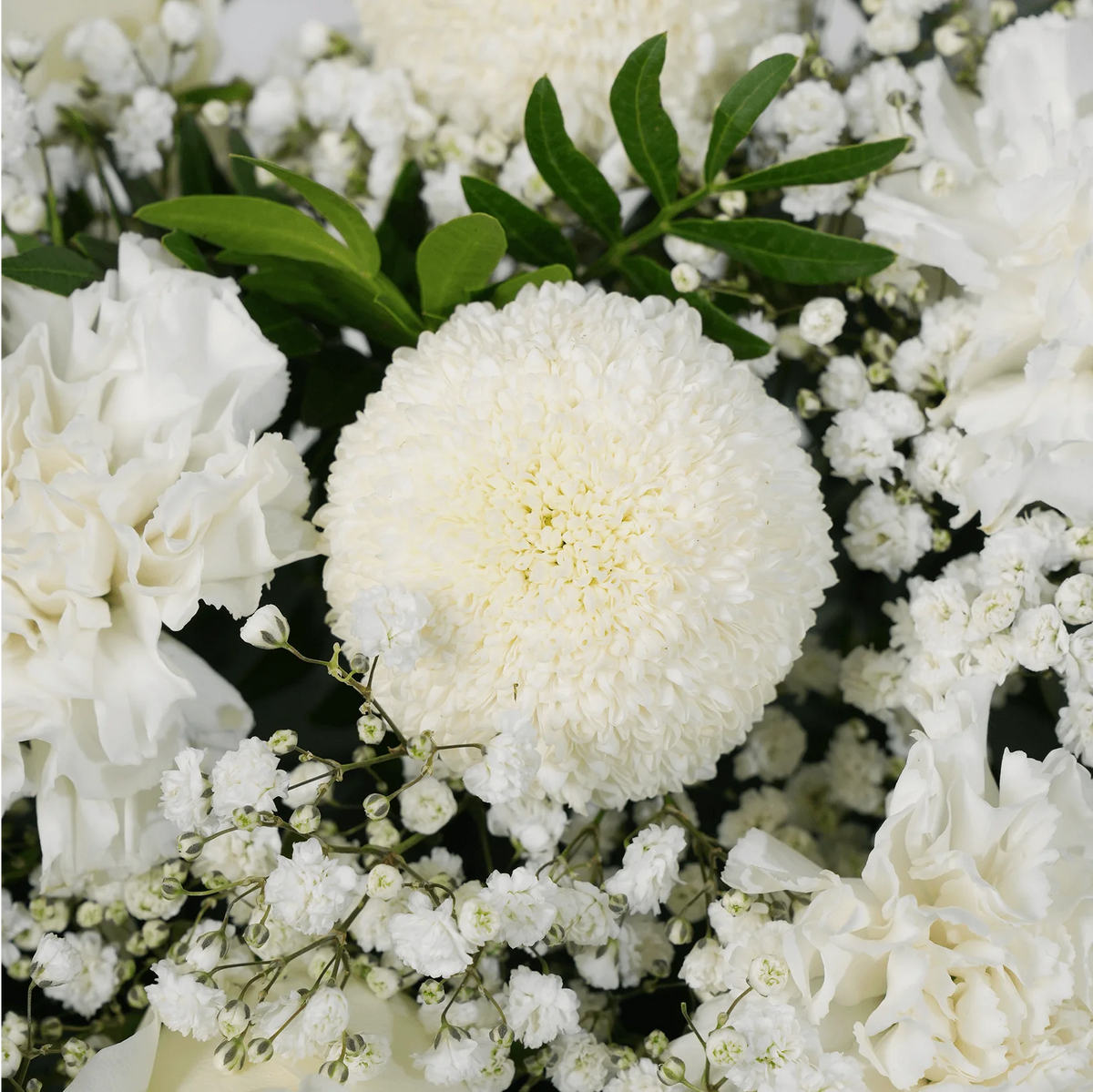Ivory Hatbox