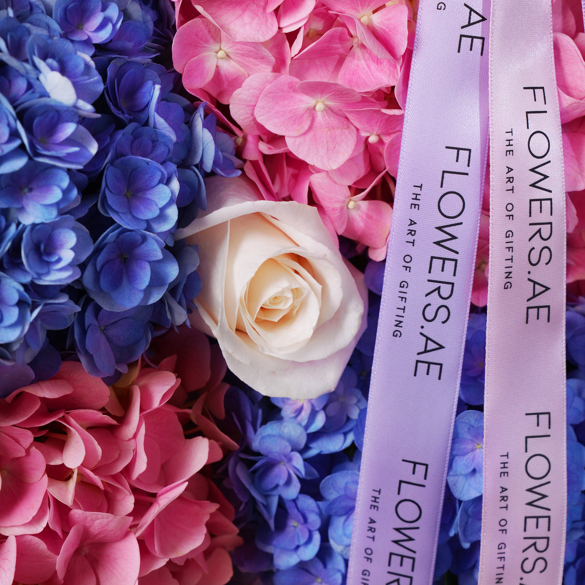 Blush Hydrangea Basket