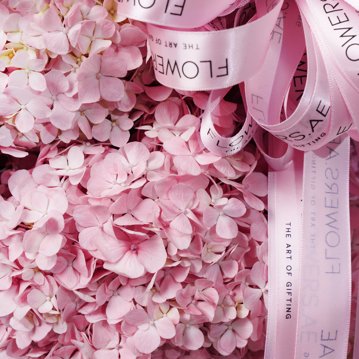 Pink Hydrangea Basket