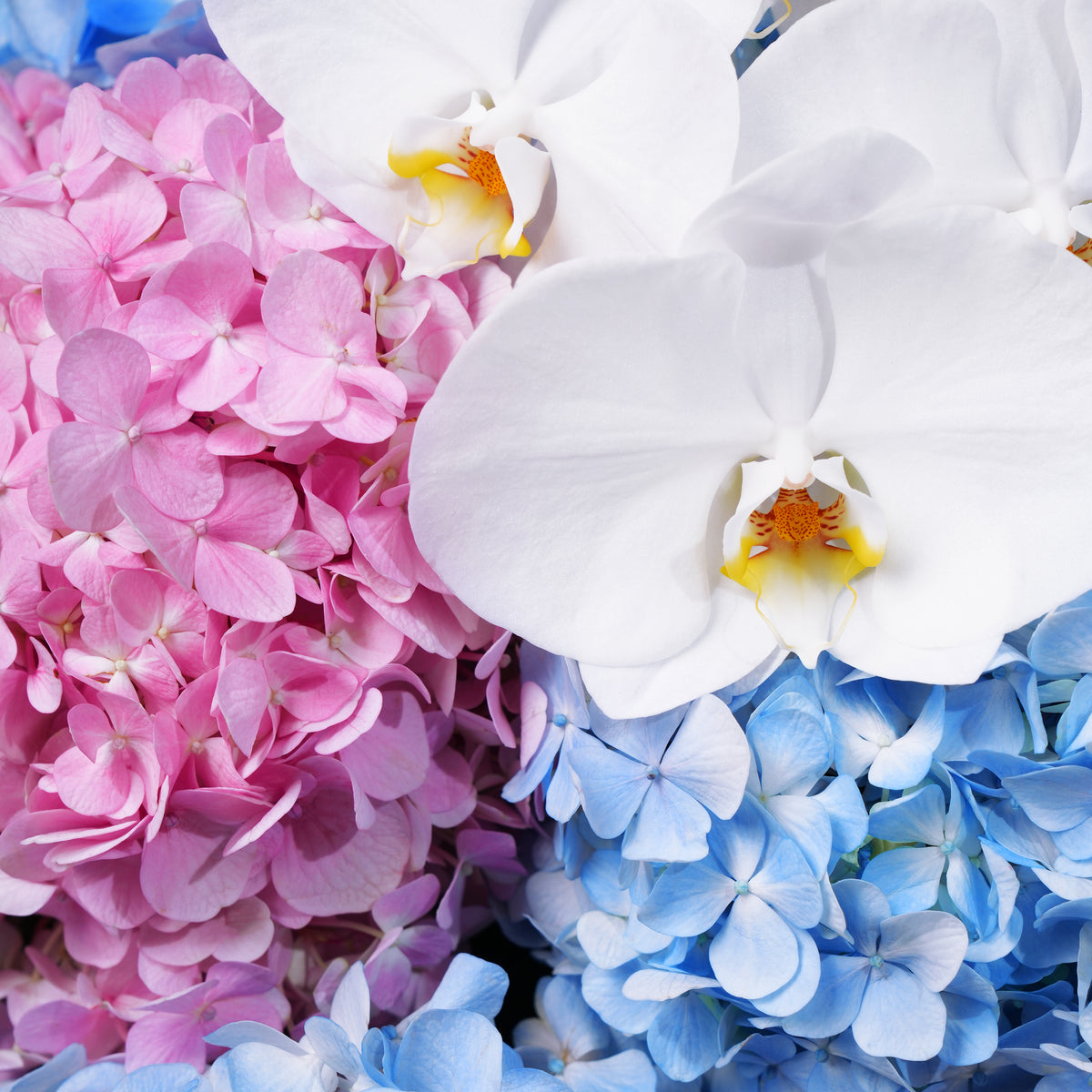 Pastel Hydrangea Basket