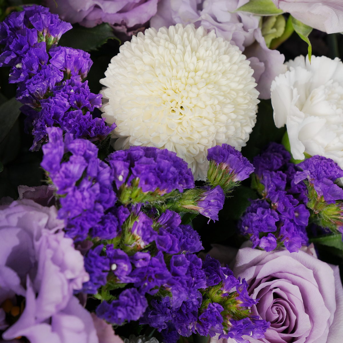 Baby Petite Lilac Hatbox (Gift Set)