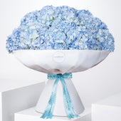 Blue Hydrangea
