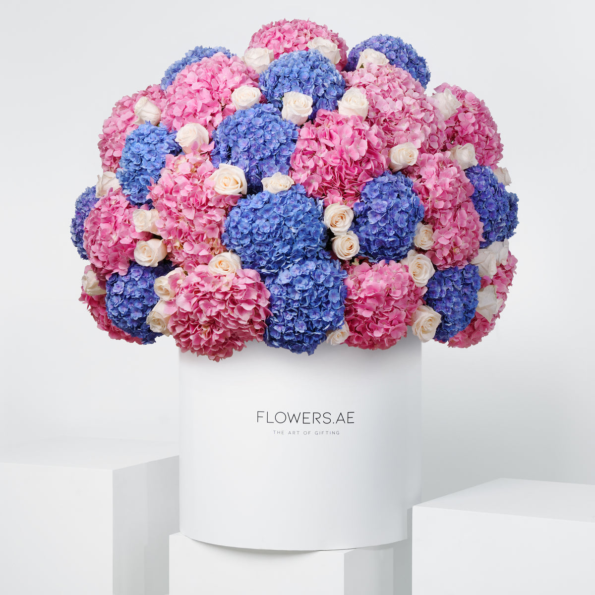 Royale Blush Hydrangea