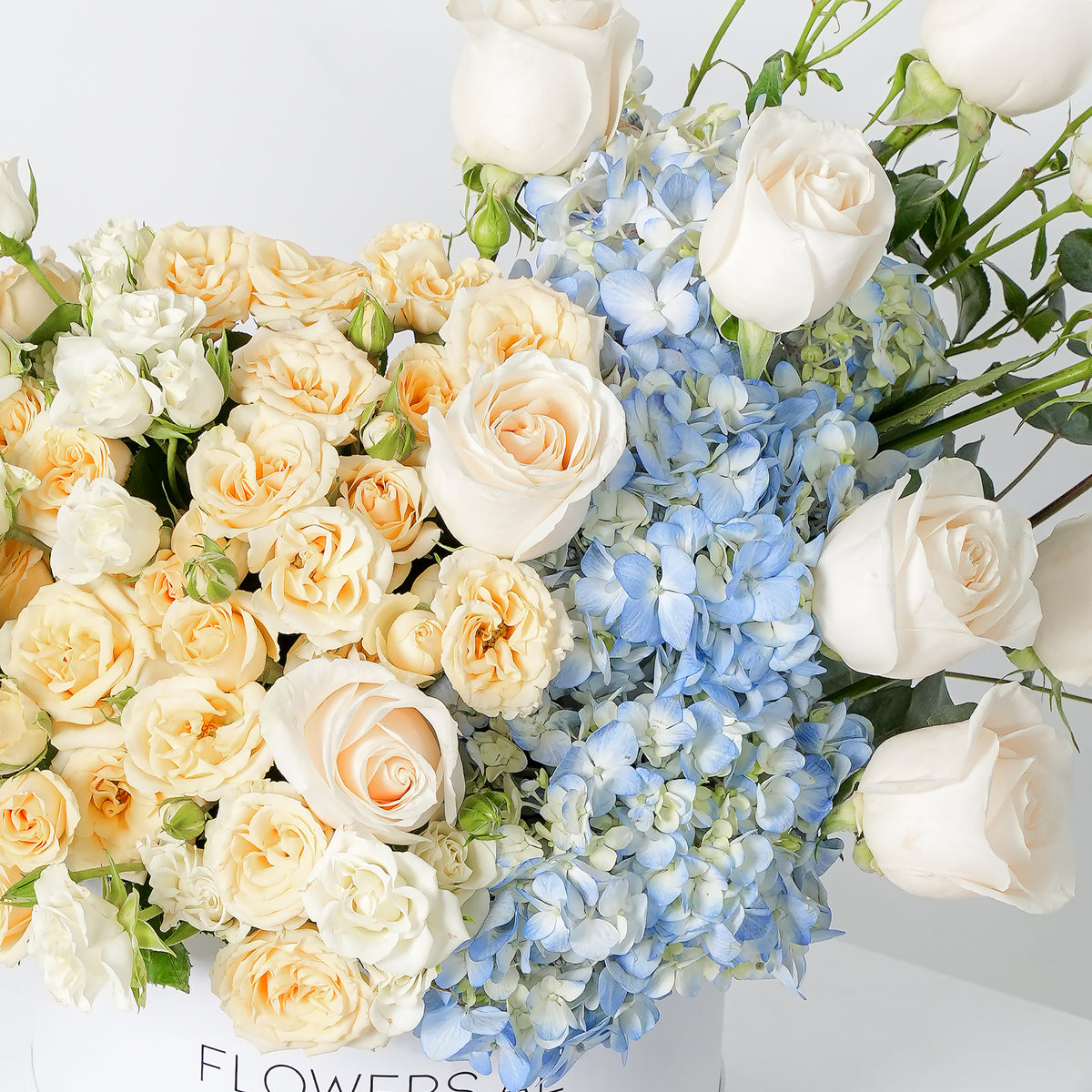 Florence Pastel Hatbox
