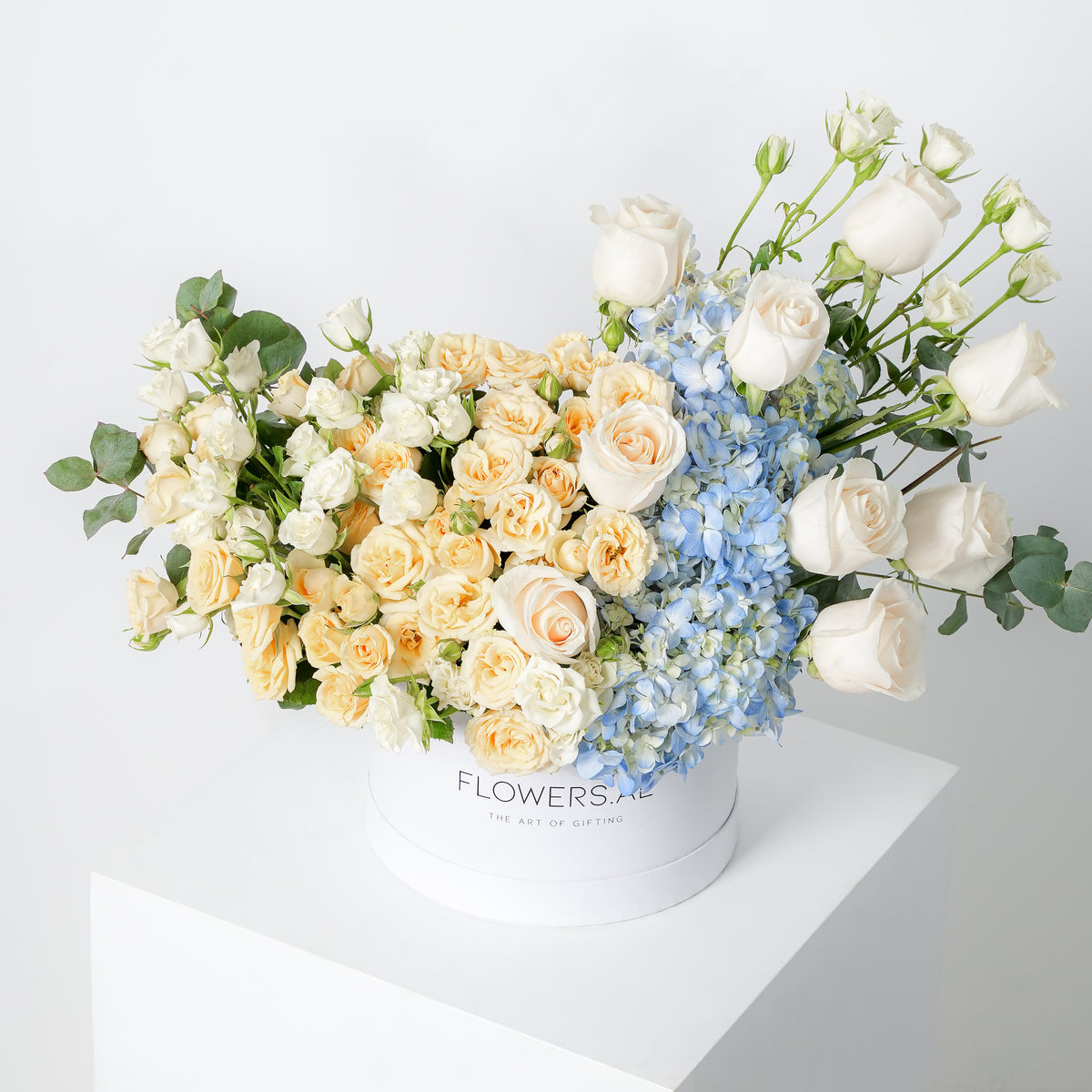 Florence Pastel Hatbox