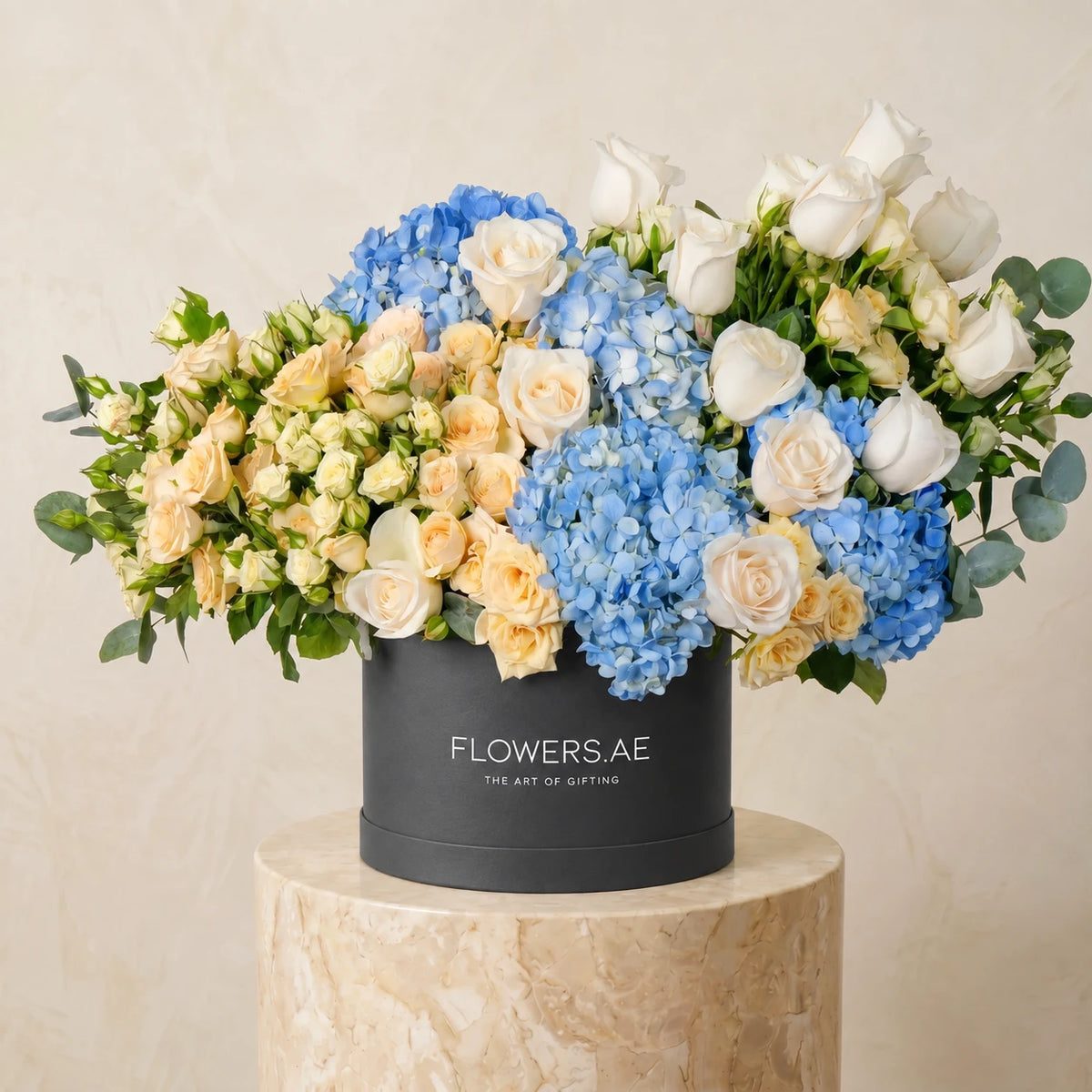 Welcome Back Florence Pastel Hatbox