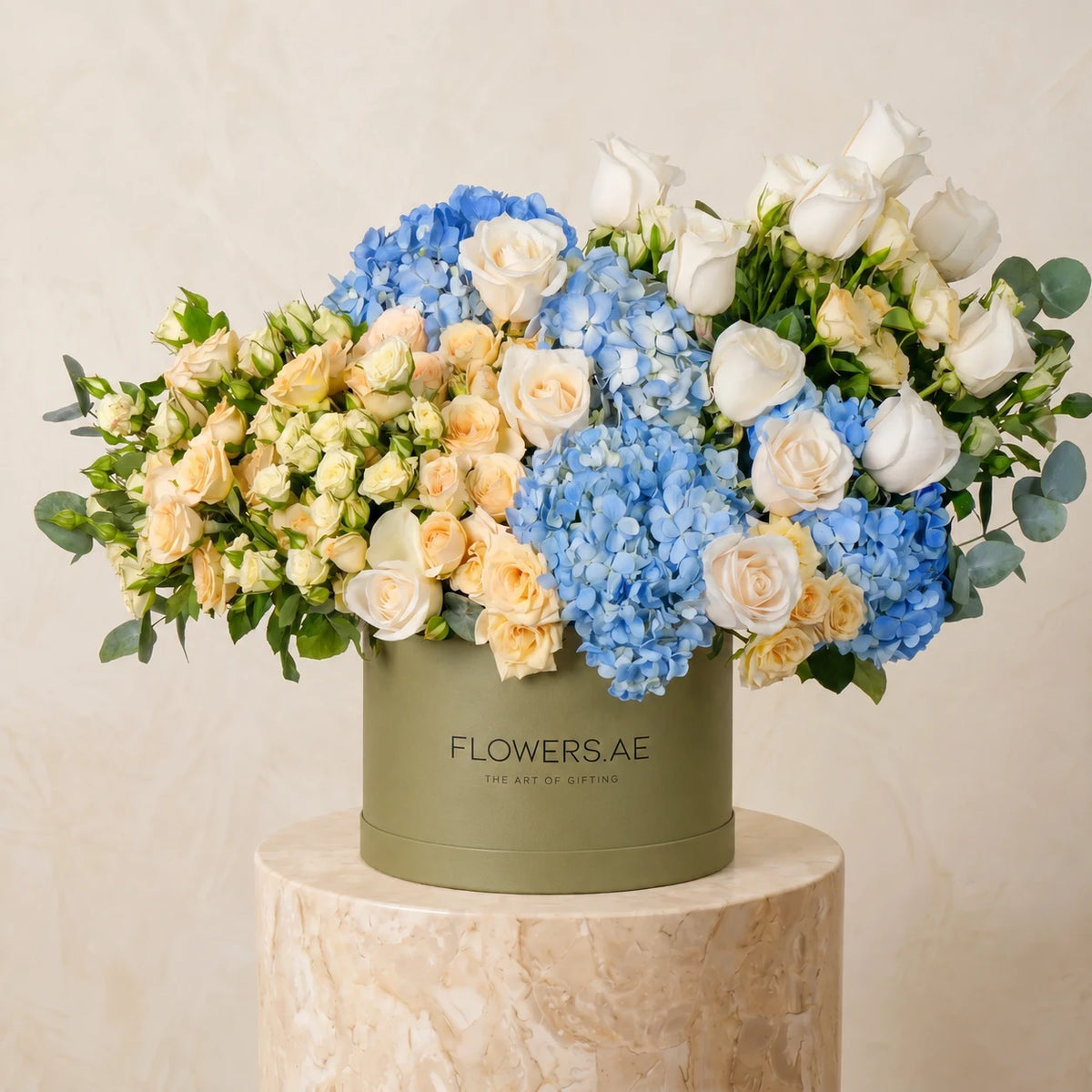 Welcome Back Florence Pastel Hatbox