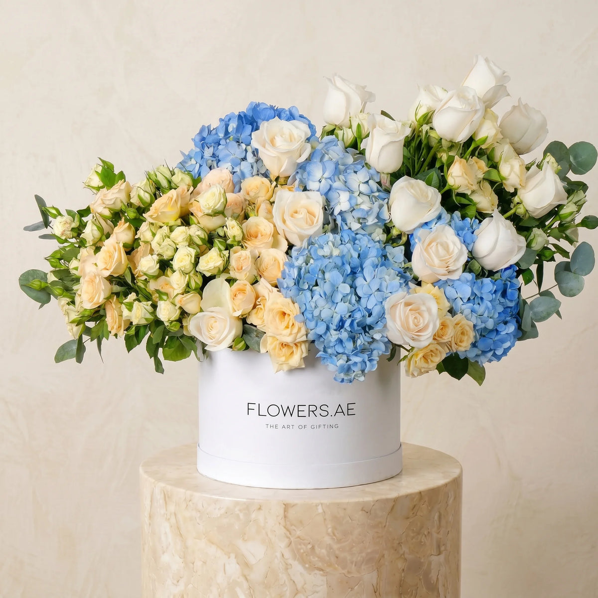 Welcome Back Florence Pastel Hatbox