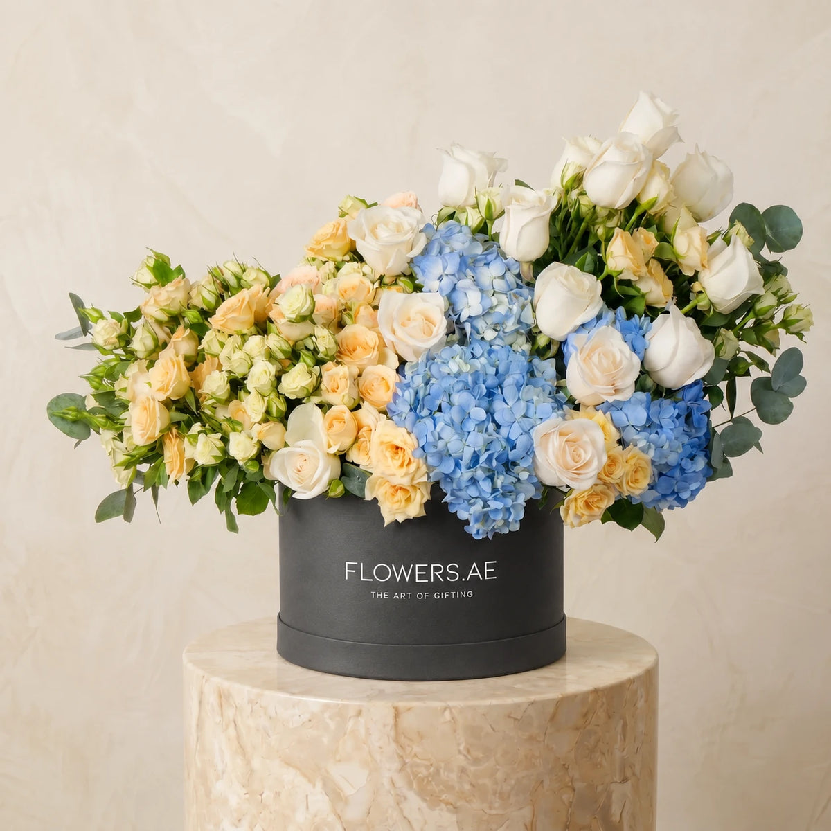 Welcome Back Florence Pastel Hatbox