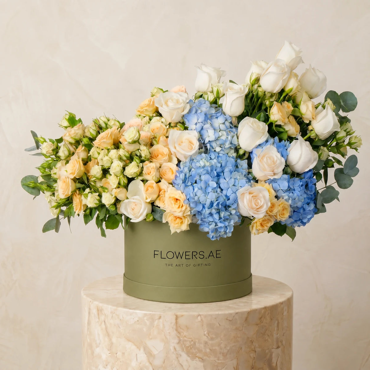Welcome Back Florence Pastel Hatbox