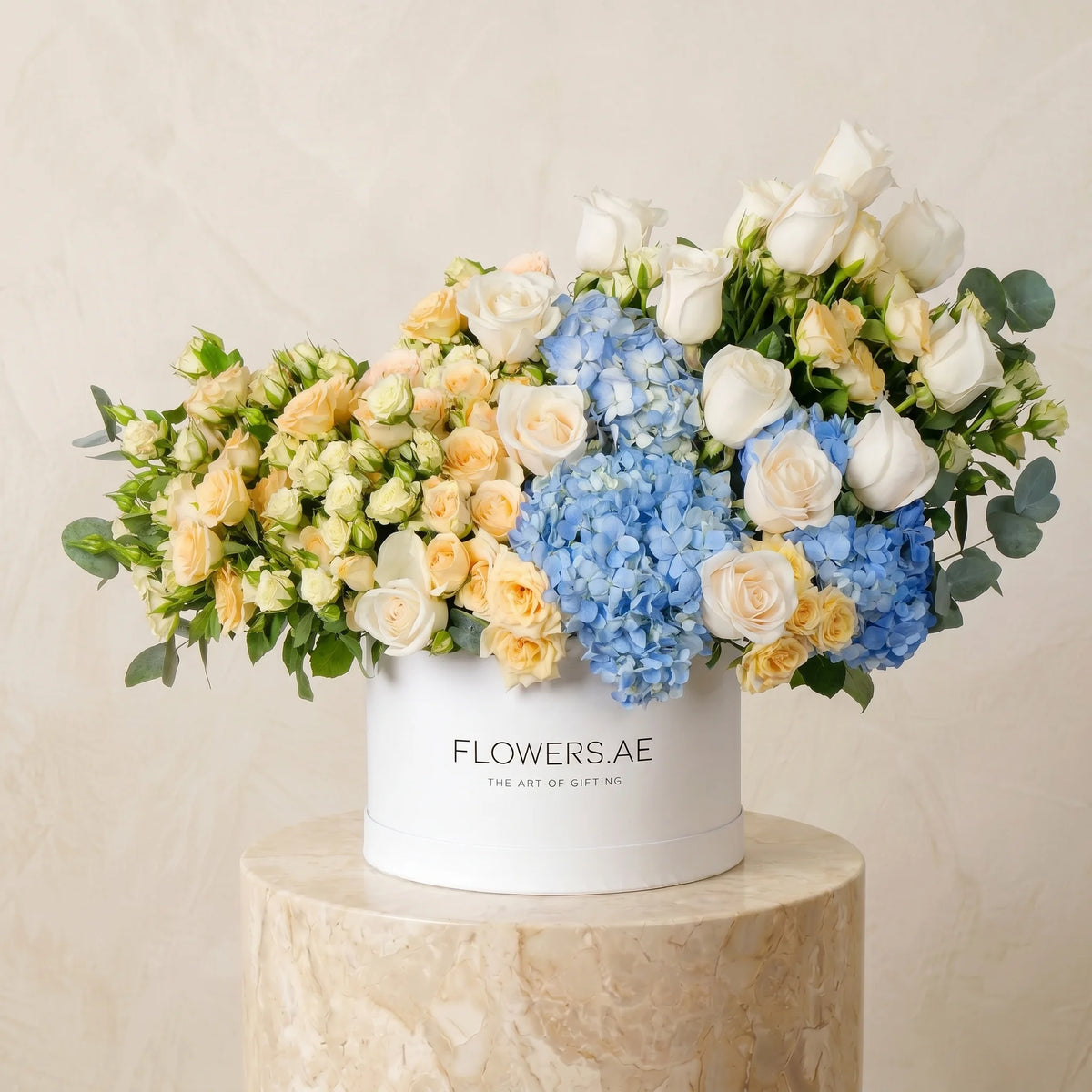 Welcome Back Florence Pastel Hatbox