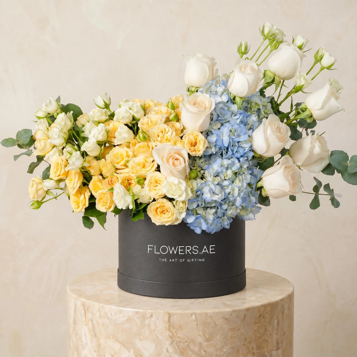 Welcome Back Florence Pastel Hatbox