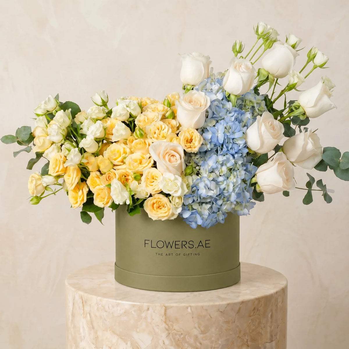 Welcome Back Florence Pastel Hatbox