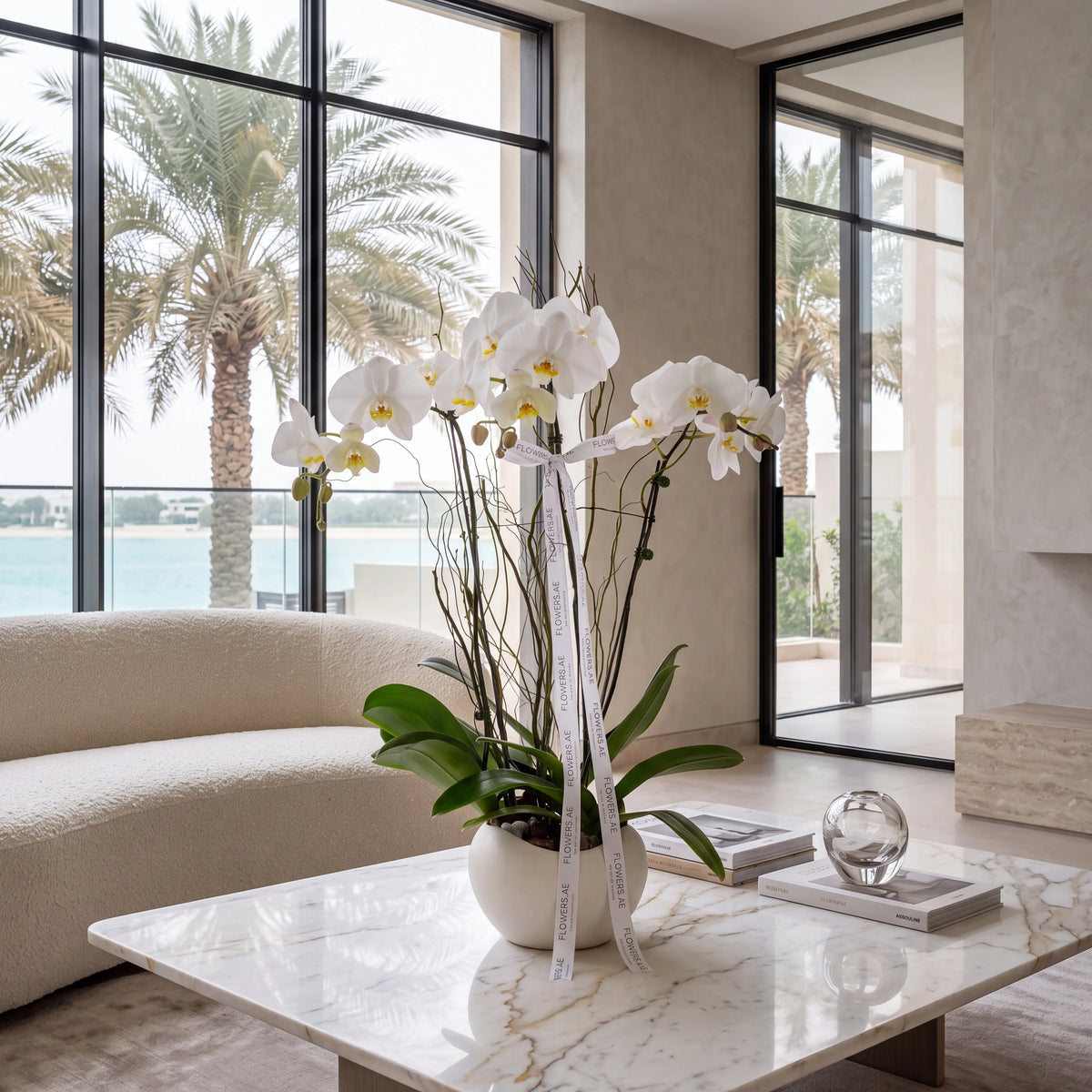 3 White Orchids