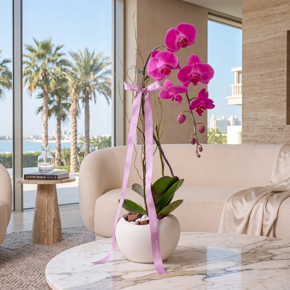 Purple Orchid