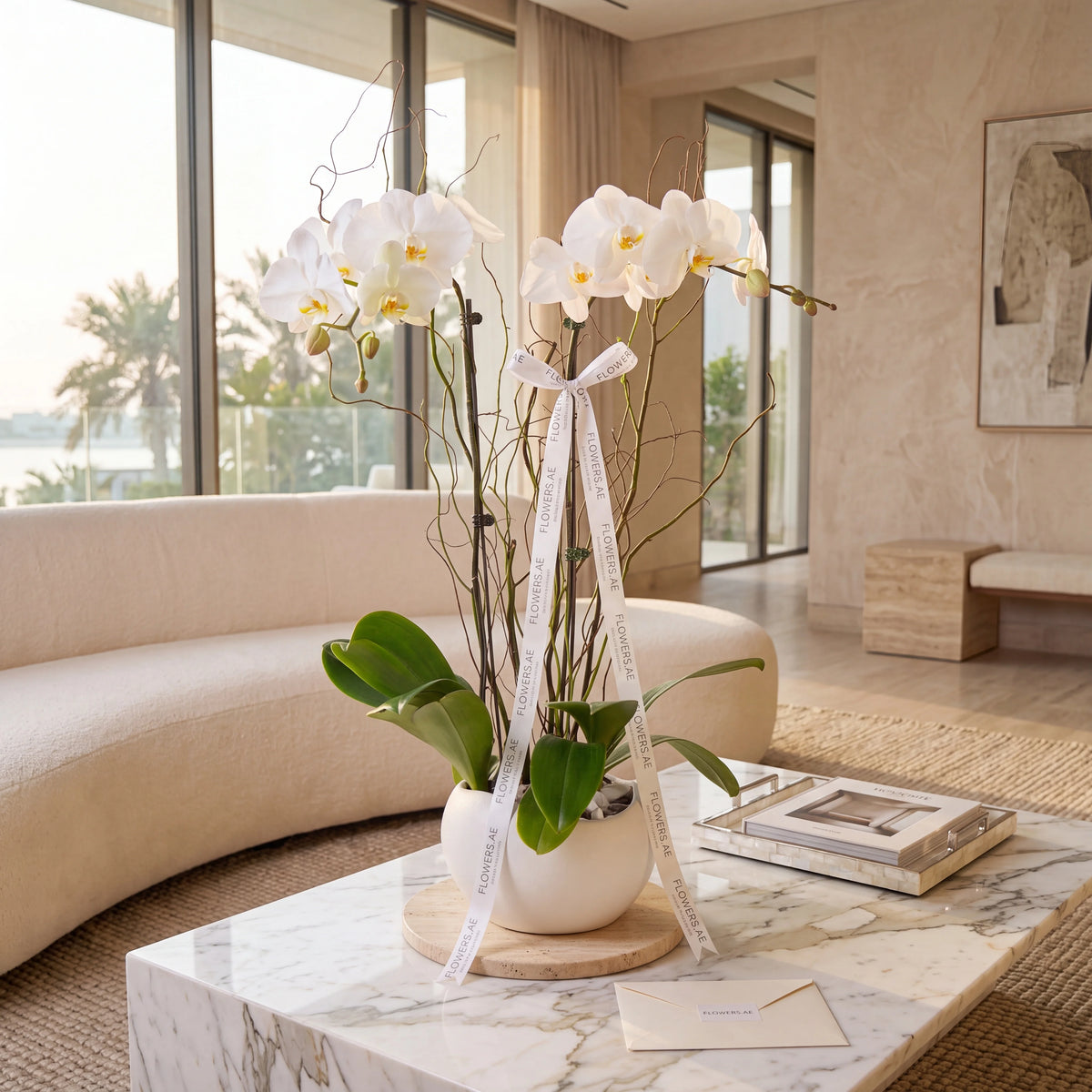 Get Well 2 White Orchids