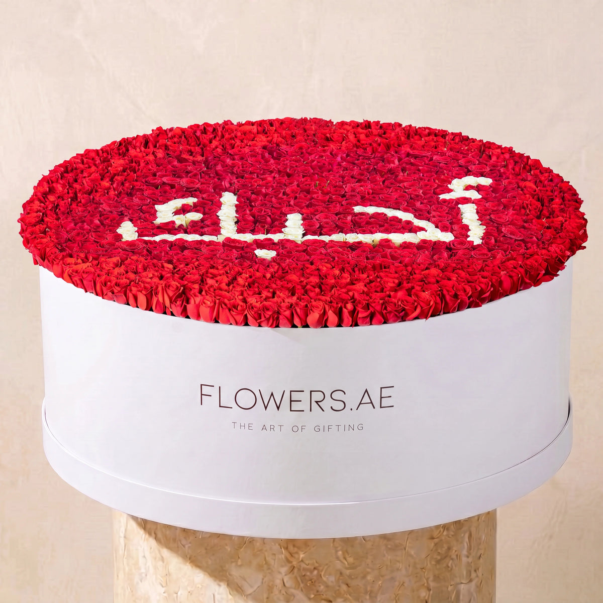 Luxury XXXL Word Hatbox