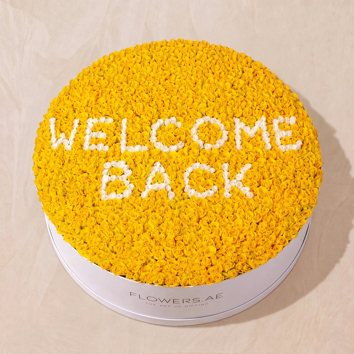 Welcome Back XXXL Hatbox