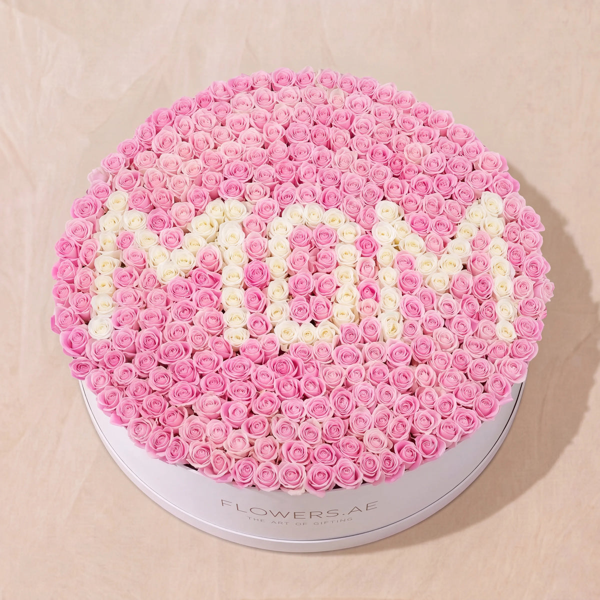 XXXL MOM Hatbox