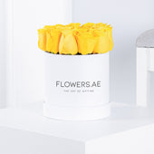 Petite Yellow Roses  Hatbox